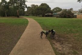 Davitt Drive Reserve Fenced Dog Park Deer Park