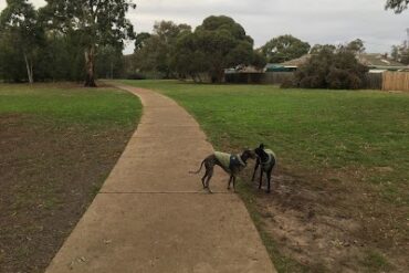 Davitt Drive Reserve Fenced Dog Park Deer Park