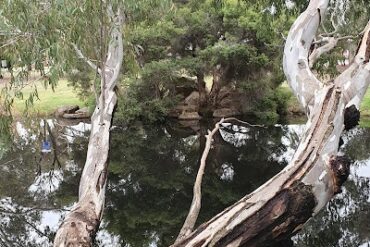 Dolan Reserve Mawson Lakes