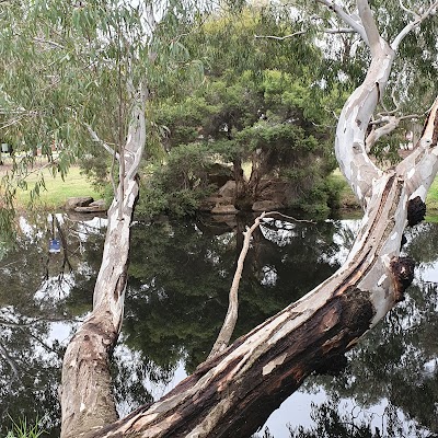 Dolan Reserve Mawson Lakes