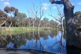 Drumminor Lake Modbury North