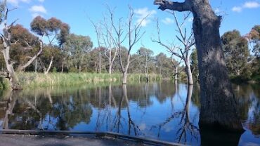 Drumminor Lake Modbury North