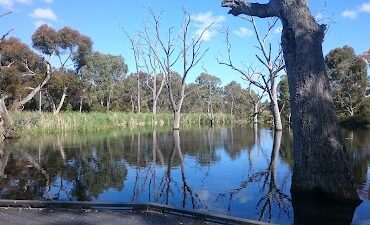 Drumminor Lake Modbury North