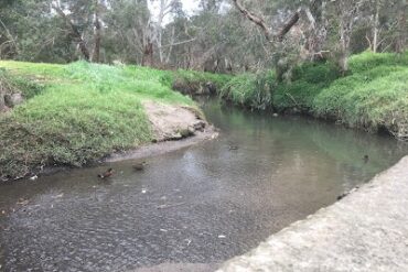 Duck Viewing Platform Wantirna South