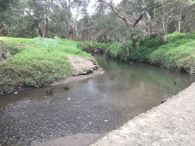 Duck Viewing Platform Wantirna South