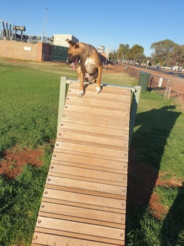 Edwards Park Dog Exercise Area Kalgoorlie