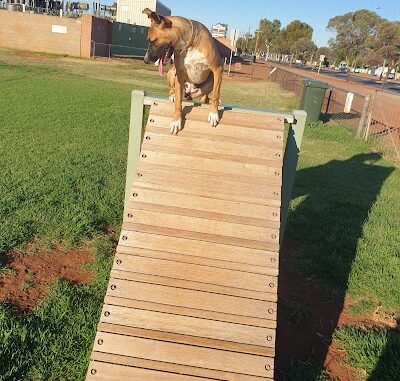 Edwards Park Dog Exercise Area Kalgoorlie