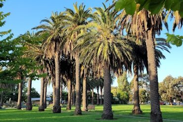 Edwards Park Port Melbourne