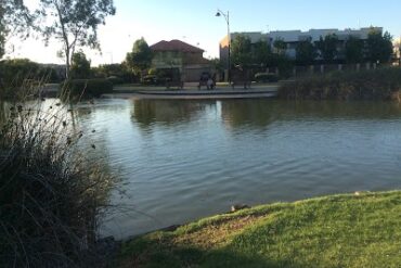 Elder Drive Reserve Mawson Lakes