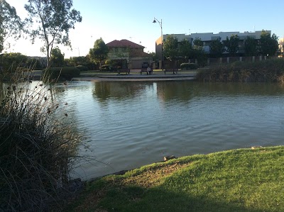 Elder Drive Reserve Mawson Lakes