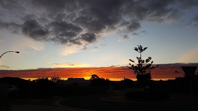 Ellesmere Street Reserve North Perth