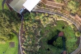 Engelbrecht Cave Mount Gambier