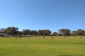 Falcon Reserve Mandurah