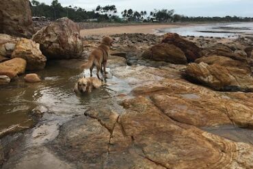 Fannie Bay Foreshore Fannie Bay