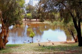 Farnham Place Reserve Gosnells