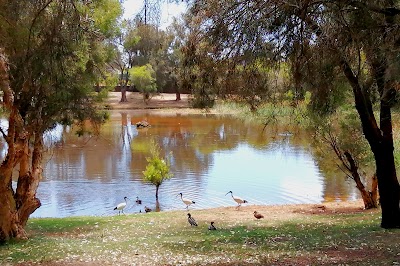 Farnham Place Reserve Gosnells