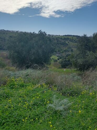 Field River Public Land Trail Reynella