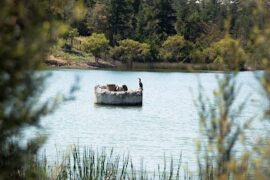 Frankston Nature Conservation Reserve Frankston South