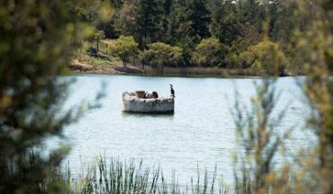 Frankston Nature Conservation Reserve Frankston South