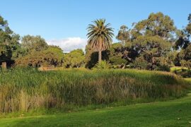 Frankston Park Frankston