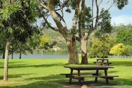 Freemans Landing Mount Gambier