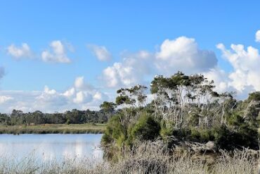 Frog Hollow Reserve Endeavour Hills