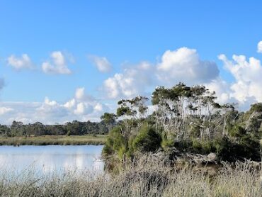 Frog Hollow Reserve Endeavour Hills