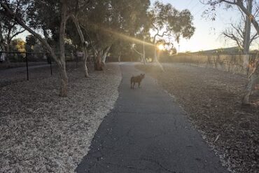 Golden Grove Dog Park Golden Grove