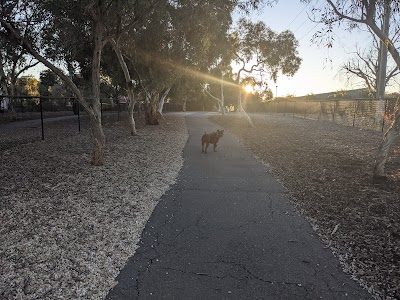 Explore the Fun and Freedom at Golden Grove Dog Park in Golden Grove