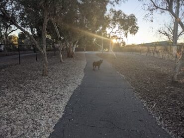 Golden Grove Dog Park Golden Grove