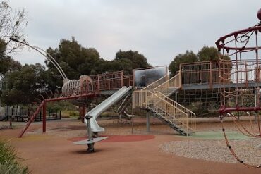 Golden Sun Moth Park Craigieburn