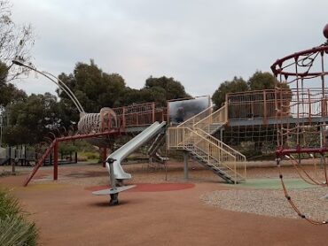 Golden Sun Moth Park Craigieburn