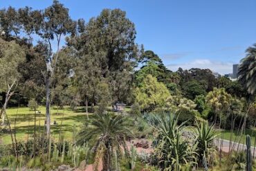 Guilfoyle's Volcano South Yarra