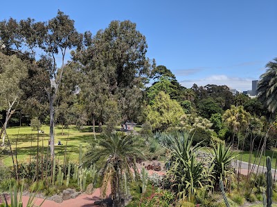 Guilfoyle's Volcano South Yarra