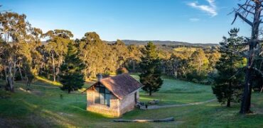 Hans Heysen - The Cedars Andrews Farm