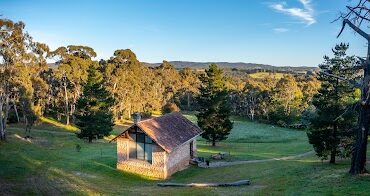 Hans Heysen - The Cedars Andrews Farm