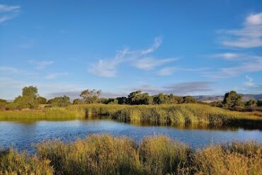 Hart Road Wetland Aldinga Beach