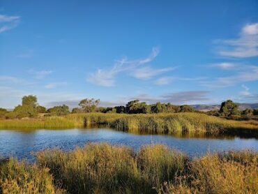 Hart Road Wetland Aldinga Beach