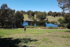 Hawkstowe Picnic Area South Morang