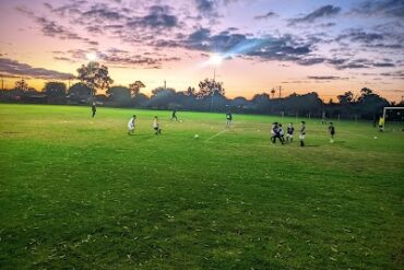 Haynes Street Reserve North Perth