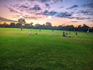 Haynes Street Reserve North Perth