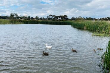 Heathdale Glen Orden Wetlands Werribee