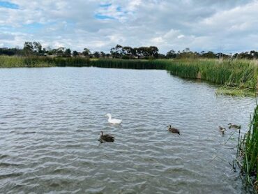 Heathdale Glen Orden Wetlands Werribee