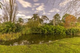 Hedgeley Dene Gardens Malvern East