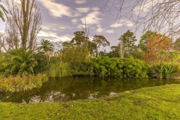 Hedgeley Dene Gardens Malvern East