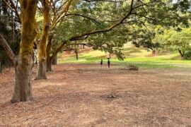 Heinemann Park Tanunda