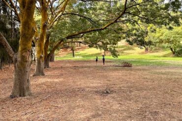 Heinemann Park Tanunda