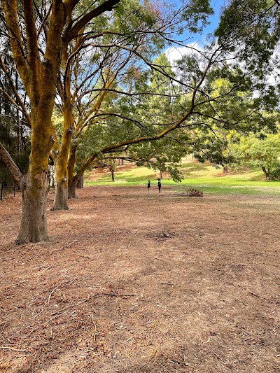 Heinemann Park Tanunda