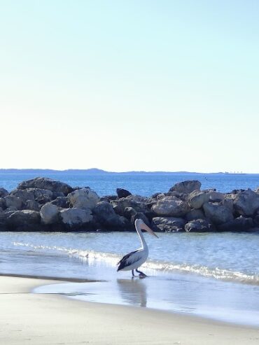 Henley Park Kwinana