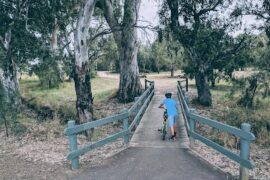 Heron Avenue Reserve Parafield Gardens